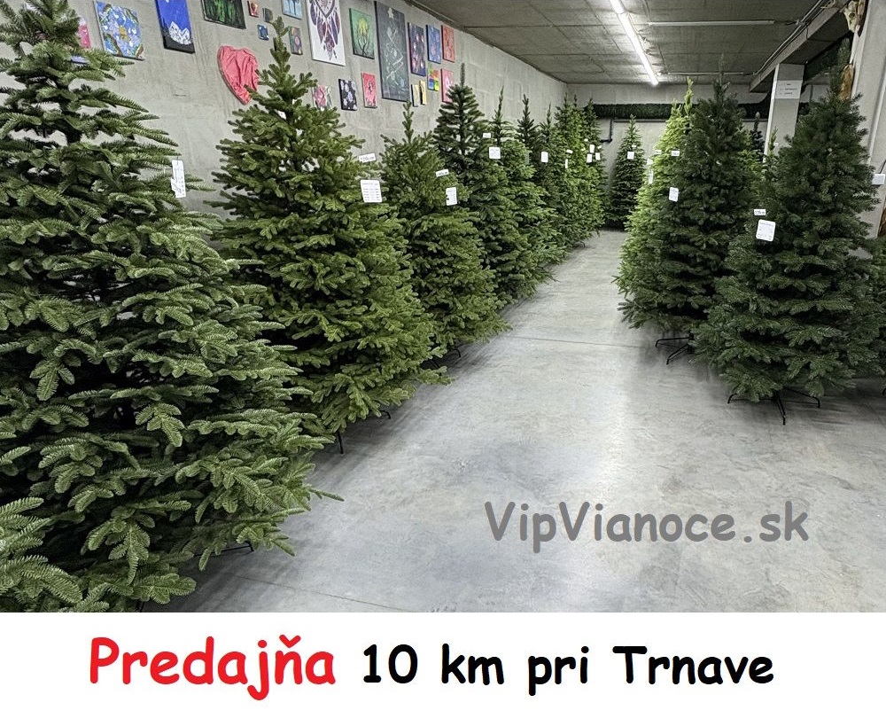 7-predaj-vianocnych-stromcekov-v-trnave-kosolnej