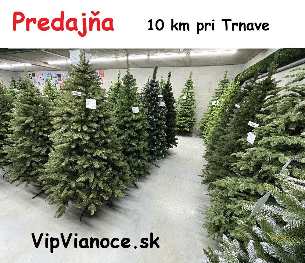 9-predajna-vianocnych-stromcekov-Kosolna-trnava